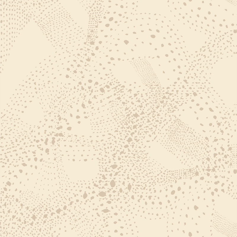CADERAS